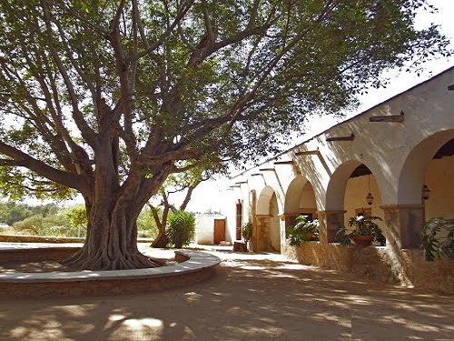 Paseo por Mexico Dairy Farm in Calvillo