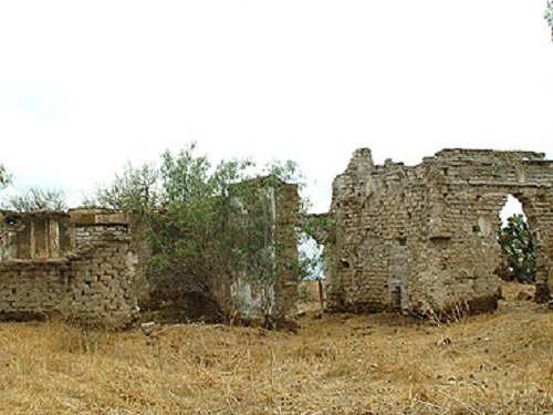 Paseo por Mexico La Tinaja Estate in El Llano