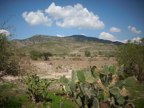 Paseo por Mexico The El Grande Hill in El Llano