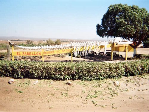 Paseo por Mexico 