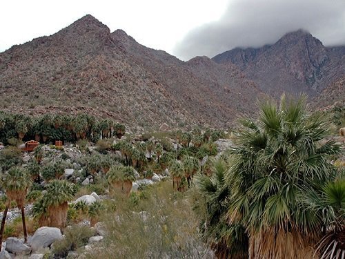 Paseo por Mexico Guadalupe Canyon in Mexicali