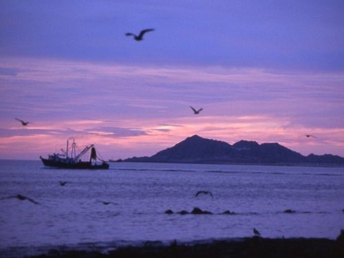 Paseo por Mexico 