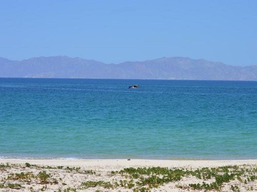 Paseo por Mexico 