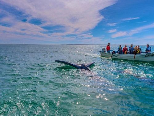 Paseo por Mexico 