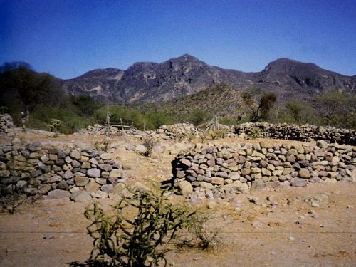 Paseo por Mexico 