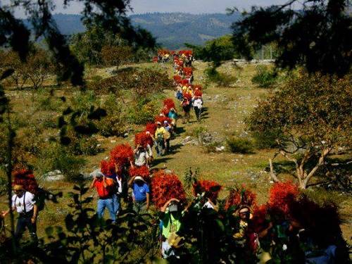 Paseo por Mexico 