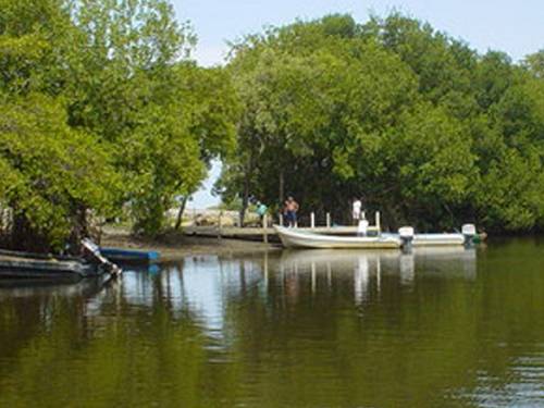 Paseo por Mexico 