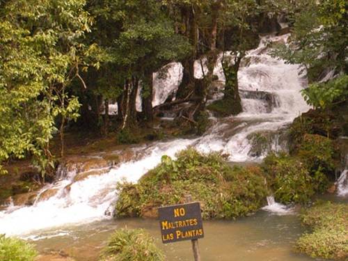 Paseo por Mexico 