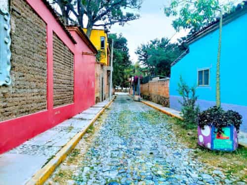 Paseo por Mexico Streets of Ajijic in Chapala