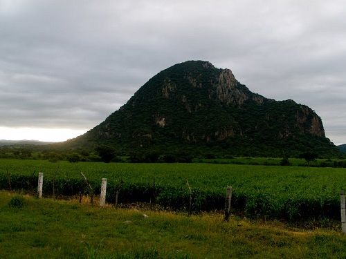 Paseo por Mexico 