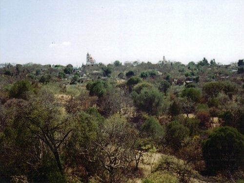 Paseo por Mexico Population of Acteopan