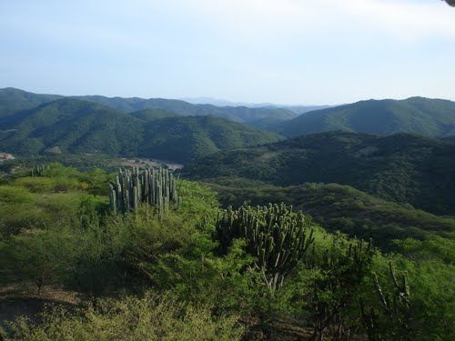 Paseo por Mexico Acaxtlahuacan by Albino Zertuche