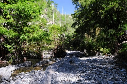 Paseo por Mexico Small Bridge in Atoyatempan