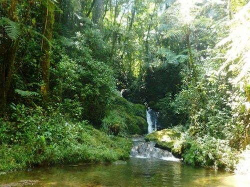 Paseo por Mexico Atepatahua waterfall in Cuetzalan del Progreso