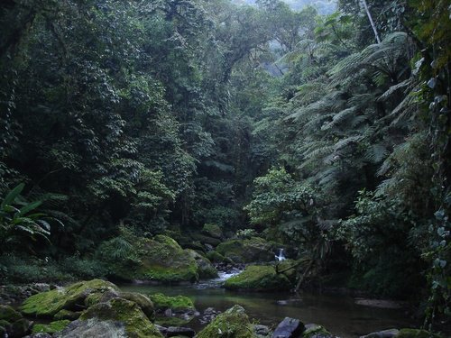 Paseo por Mexico Tozan River in Jonotla