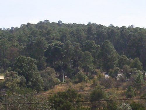 Paseo por Mexico Christ the King Hill in Mazapiltepec de Juarez