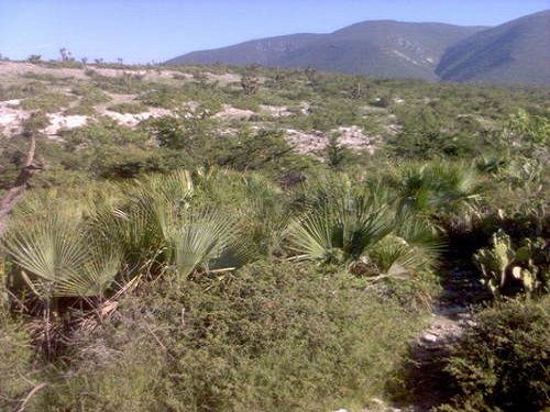 Paseo por Mexico Hunting area in San Juan Atzompa