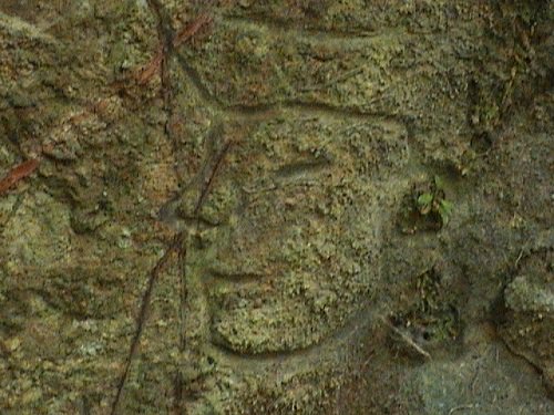 Paseo por Mexico Jackal engravings in Tenampulco