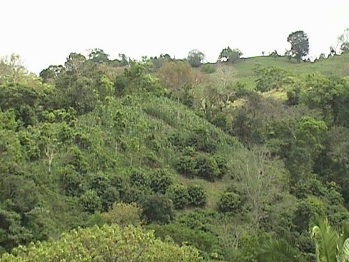 Paseo por Mexico The Apulco River and the Metzonate River