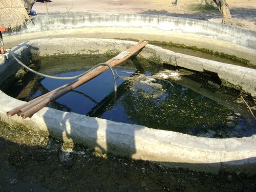 Paseo por Mexico Tepexco Hot Springs