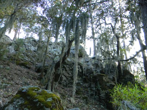 Paseo por Mexico Hill of the Eagles in Tepeyahualco