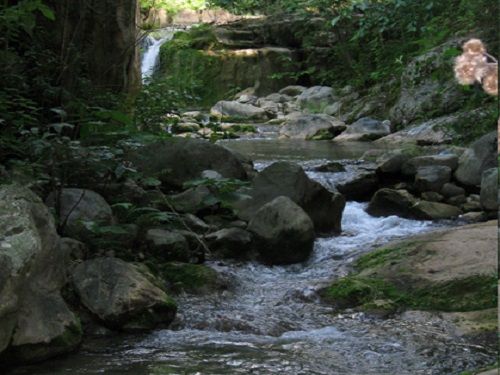 Paseo por Mexico Xochiapulco Rivers