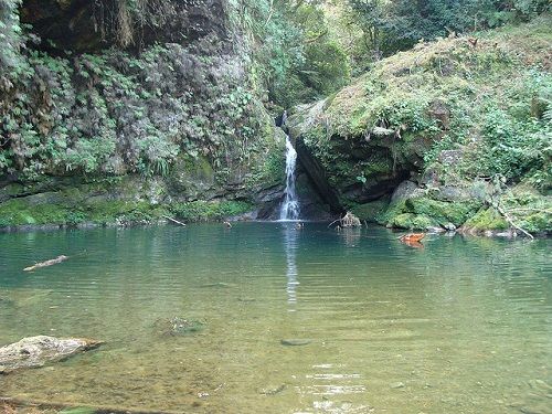 Paseo por Mexico Green Pool in Xochitlán de Vicente Suárez