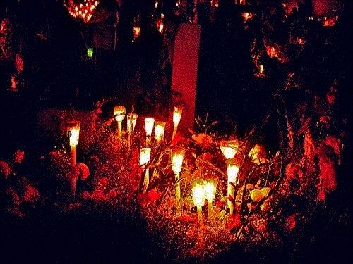 Paseo por Mexico Day of the Dead Offerings in Xochitlán All Saints Day