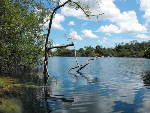 Paseo por Mexico 