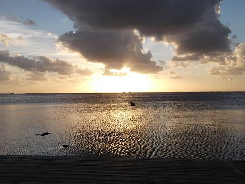 Paseo por Mexico 