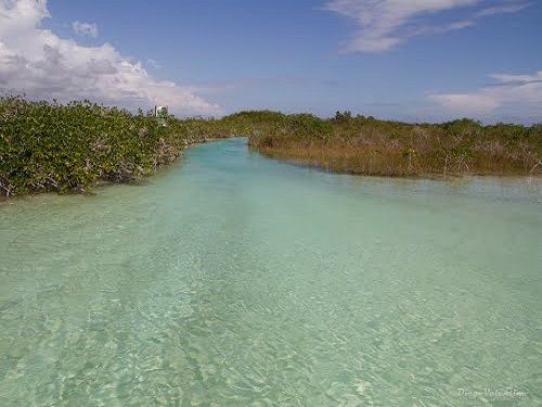 Paseo por Mexico 