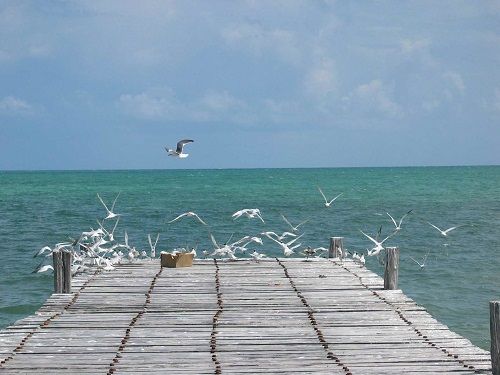 Paseo por Mexico 