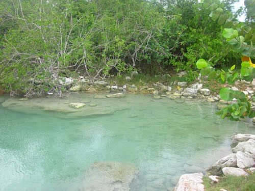 Paseo por Mexico 