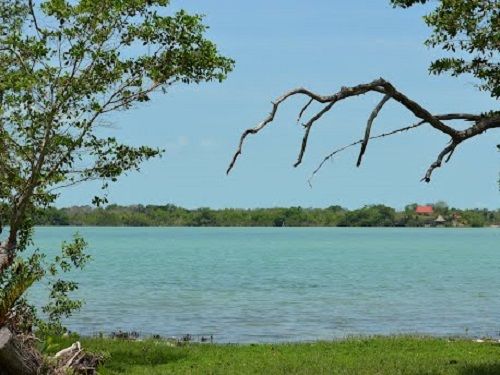 Paseo por Mexico 