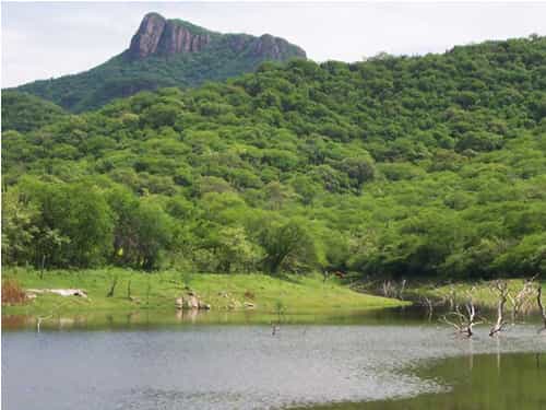 Paseo por Mexico Cuchujaqui ecological reserve in Álamos