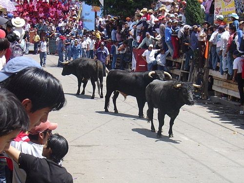 Paseo por Mexico 