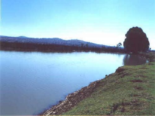 Paseo por Mexico 